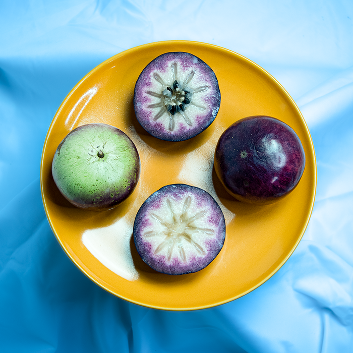 👋Winter Sale☃️💥Milk Fruit (Star Apple)👋Heirloom Seed
